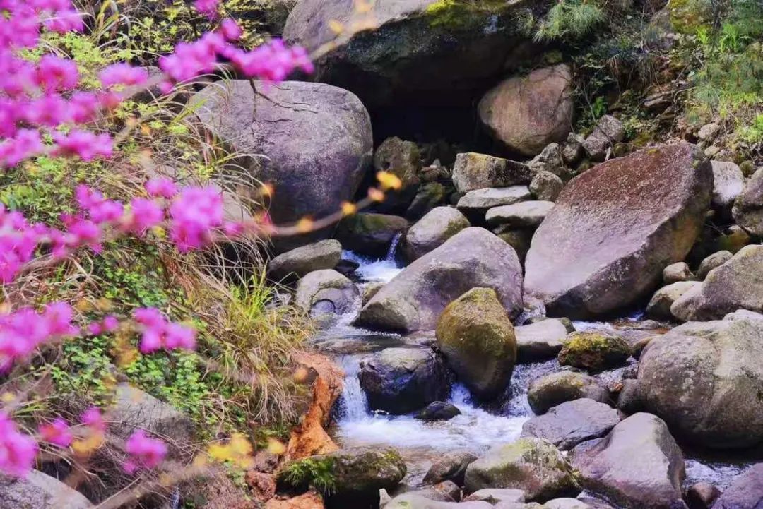 pp电子·(中国)官方网站