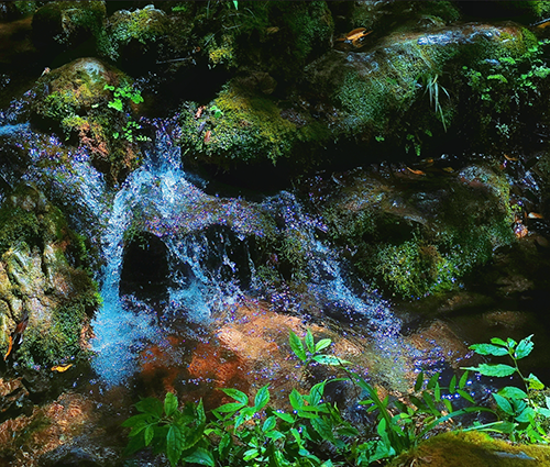 pp电子·(中国)官方网站